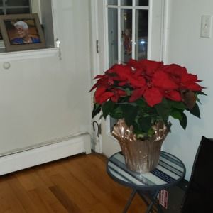 Meet your Posher, Whitney